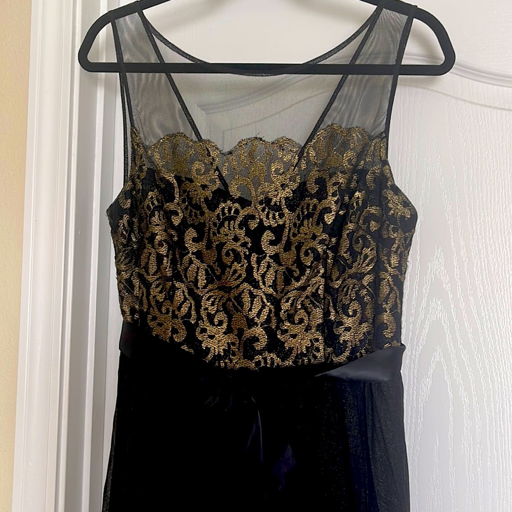 Gorgeous evening gown from Cache